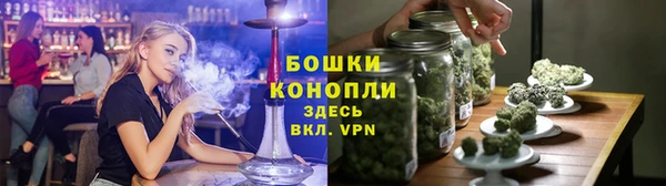 PSILOCYBIN Баксан