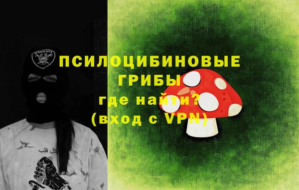 PSILOCYBIN Баксан