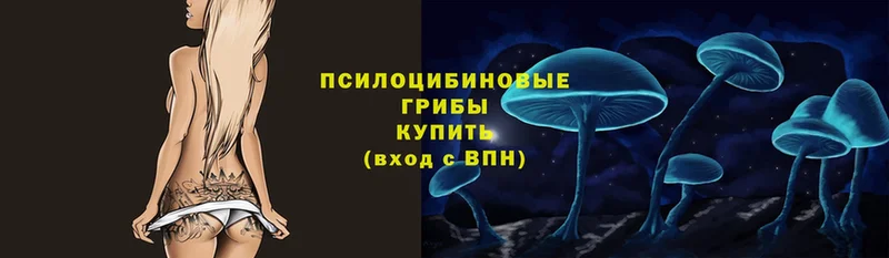 Псилоцибиновые грибы прущие грибы  где купить наркоту  Владикавказ 